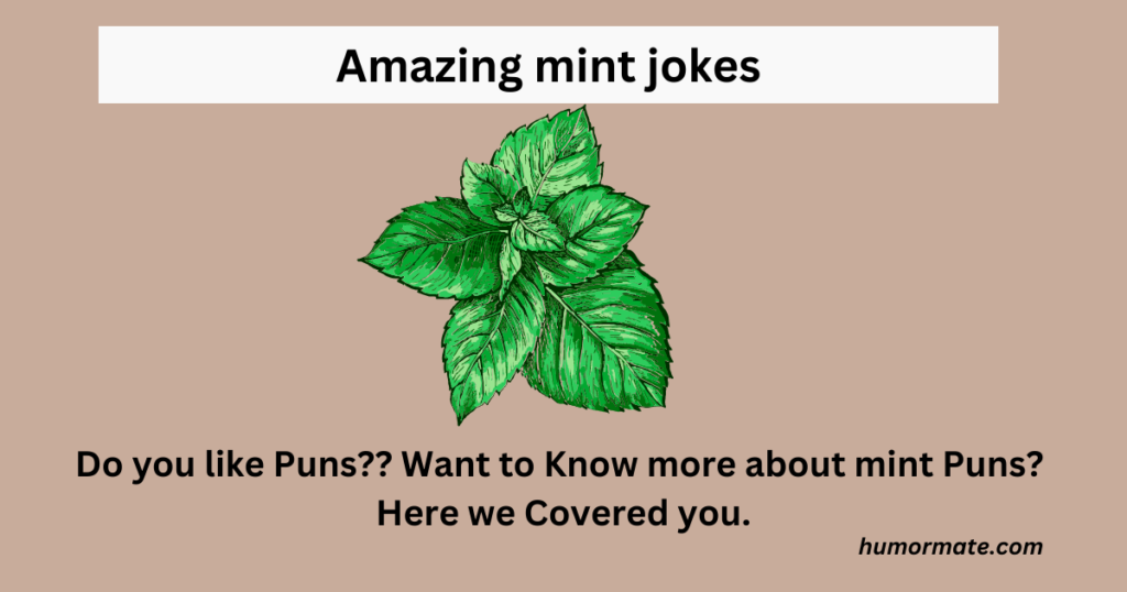Amazing-mint-jokes