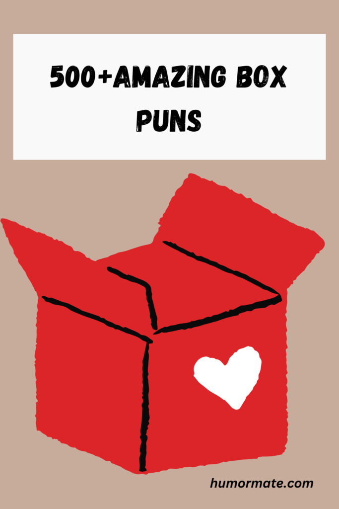 BOX-PUNS-PIN