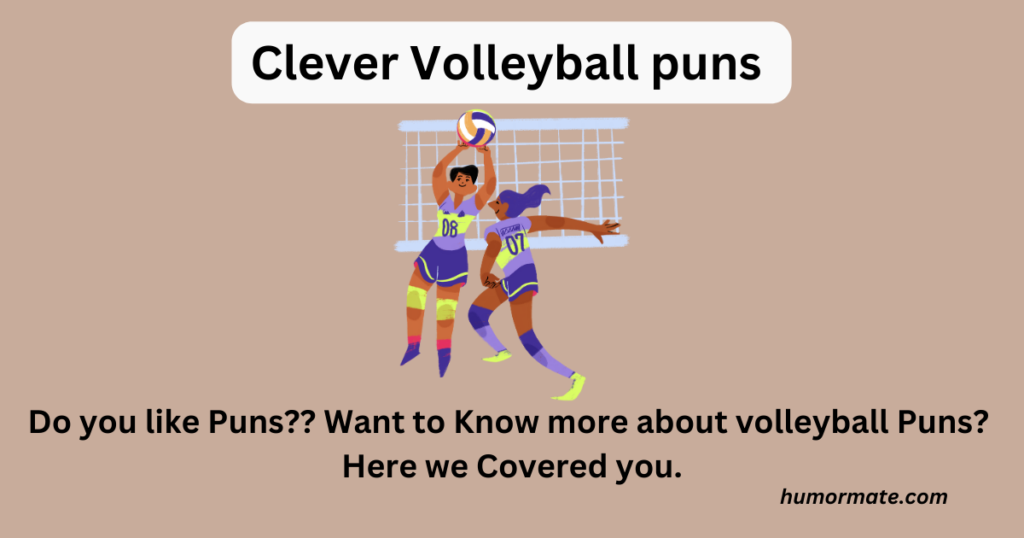 Clever Volleyball puns 