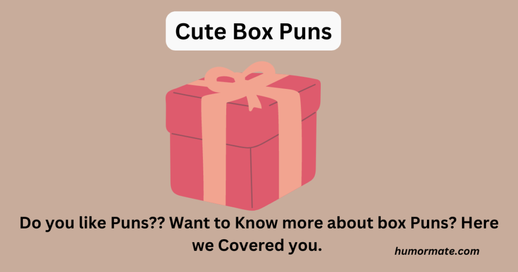 Cute Box Puns 