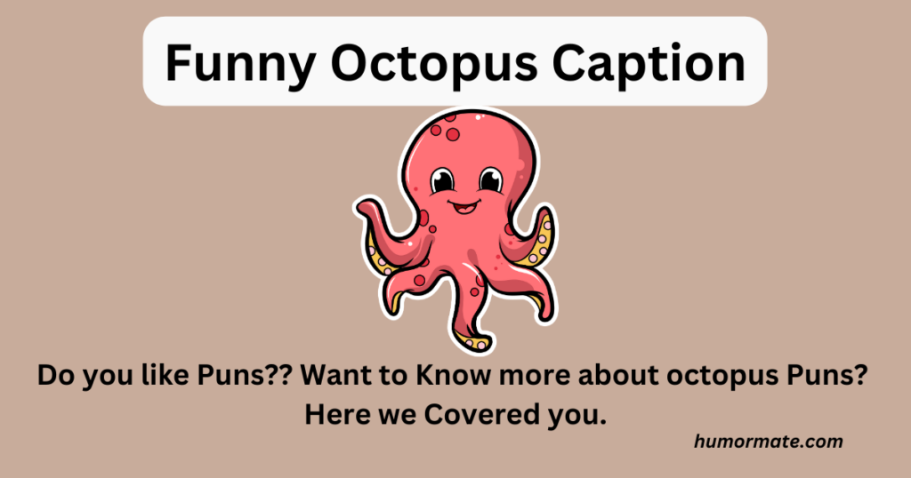 Funny-octopus-caption
