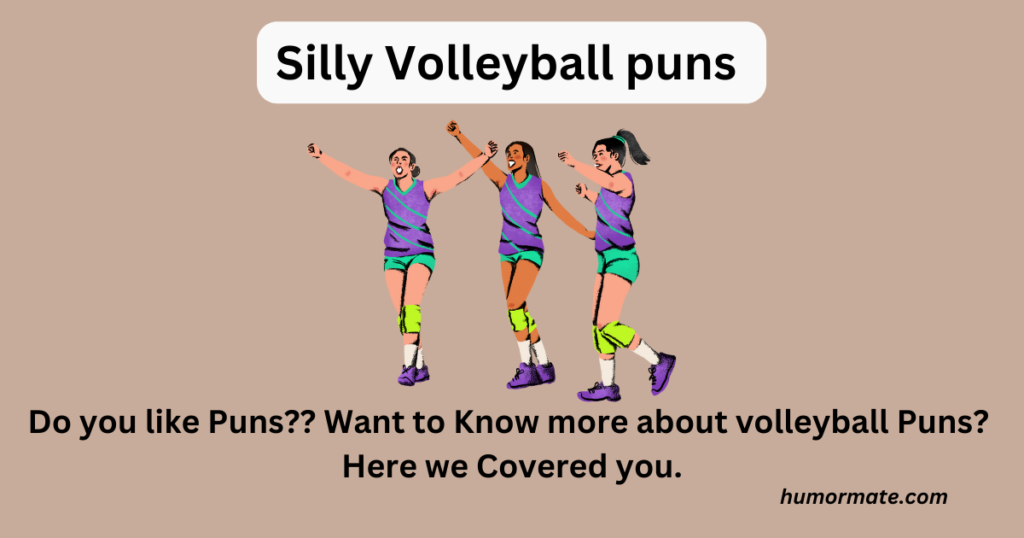 Silly-Volleyball-puns