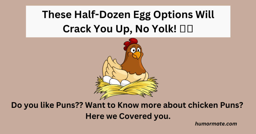 These Half-Dozen Egg Options Will Crack You Up, No Yolk!