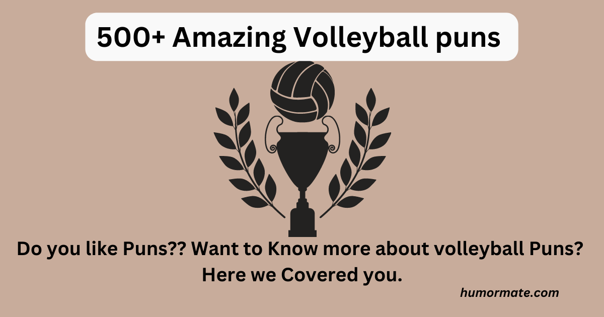Volleyball puns