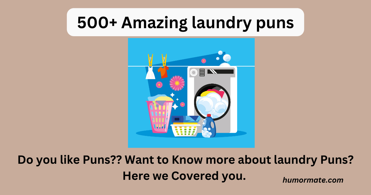 laundry puns