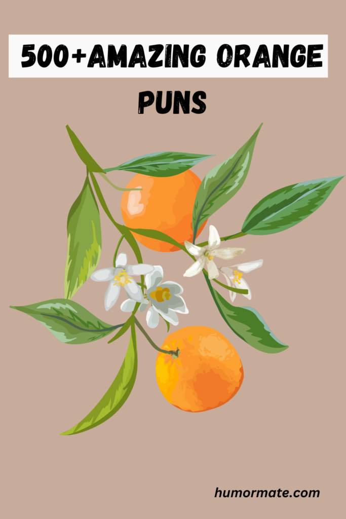 orange-pun-pin