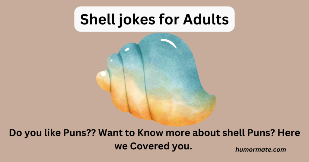 shell-jokes-for-Adults